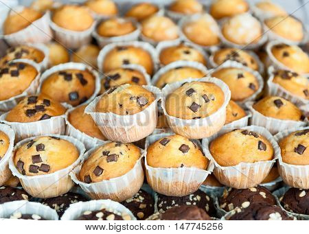 chocolate chip muffins in the foreground stacked together