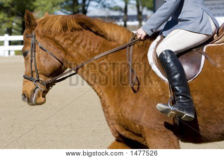Caballo y jinete