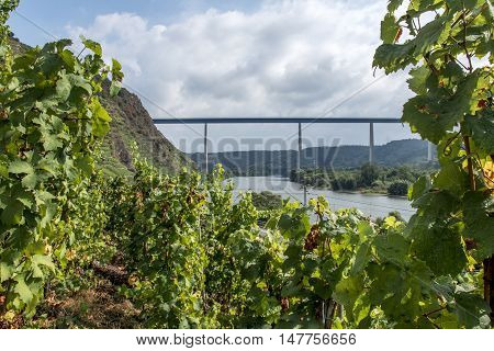 Famous German Wine Region Moselle River with bridge in Winningen 