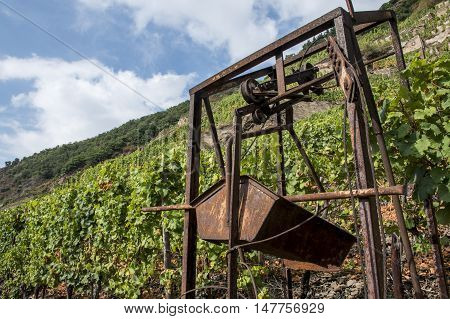 Famous German Wine Region Moselle River in Winningen 