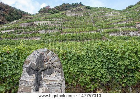 Famous German Wineyard Region Moselle River in Winningen 