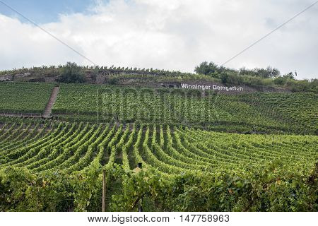 Famous German Wineyard Region Moselle River in Winningen