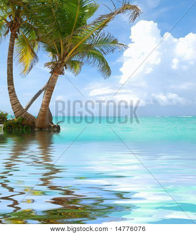 Smukke caribiske strand i den Dominikanske Republik. Refleksion i vandet.
