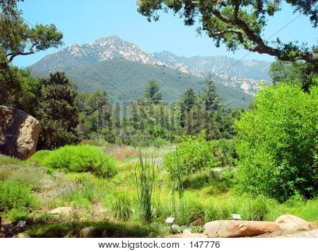 Santa Barbara Countryside