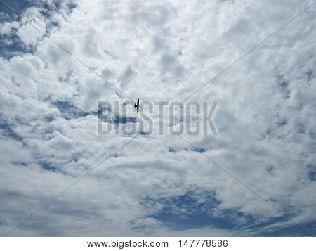 White clouds on blue sky. The clouds in the sky. Sky with clouds. Clouds background. Sky background. Nature.