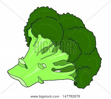 broccoli, брокколи, food, vegetable, green food, plant, illustration, picture,