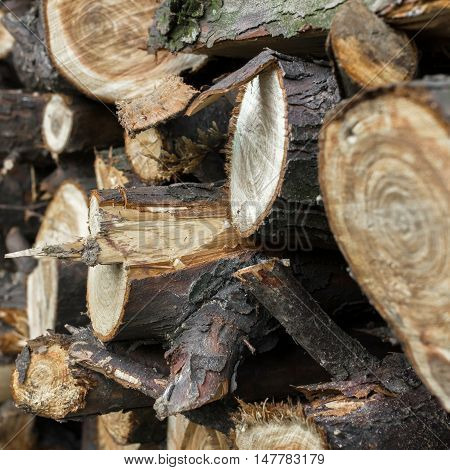 Natural wooden background. Extreme closeup of chopped firewood. Firewood stacked and prepared for winter. Pile of wood logs.