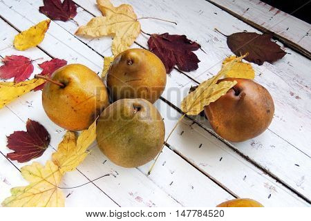 Pear And Autumn Leaves