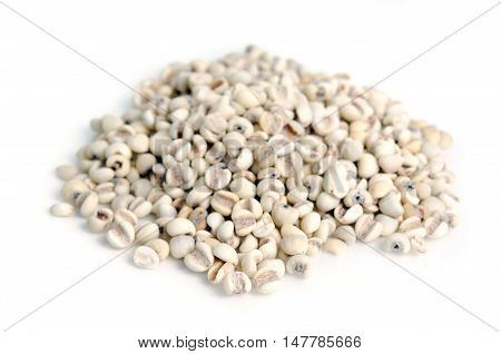 Millet Rice Bean, Millet Grains Isolated On White