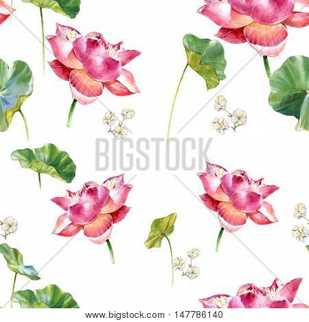 Watercolor illustration painting of leafs and lotus seamless pattern on white background