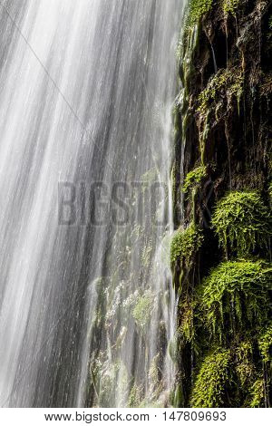 fresh green waterfall walpaper