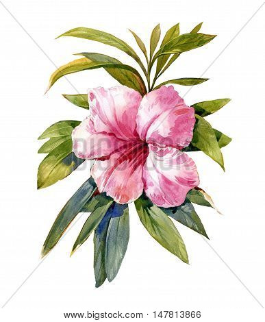 watercolor painting of leaves and flower on white background