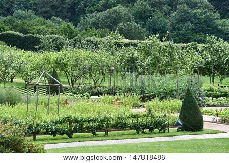 Saint Martin de Boscherville France - june 22 2016 : the Saint Georges abbey garden in Seine Maritime
