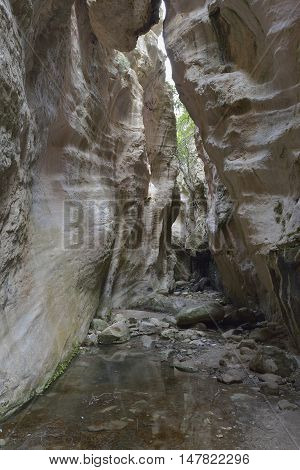 Avakas Gorge West side of Akamas Peninsula Cyprus