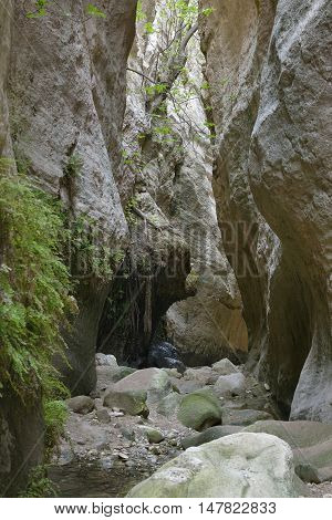 Avakas Gorge West side of Akamas Peninsula Cyprus
