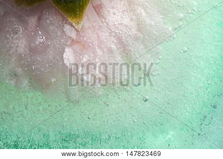 Frozen Flora Background