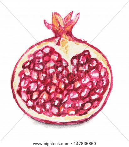 Isolated watercolor garnet on white background. Ripe and juicy fruit with vitamins.