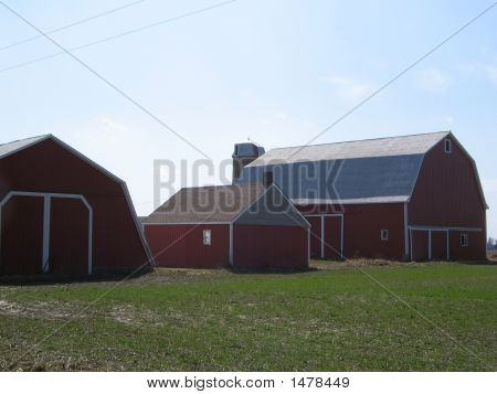 Barns
