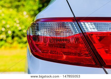 Backlight Of White Car
