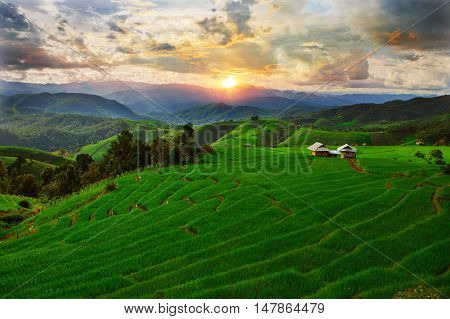 Sunset Ban Papongpieng Rice Terraces Chiang Mai North of Thailand