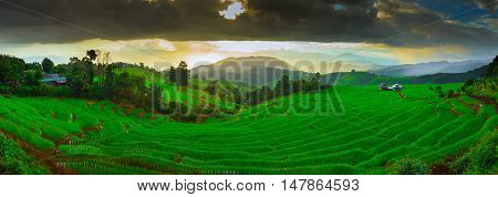 Sunset Ban Papongpieng Rice Terraces Chiang Mai North of Thailand