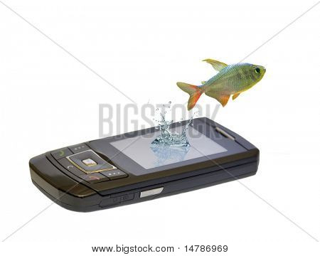 pequeños peces es saltar de teléfono aislado sobre fondo blanco