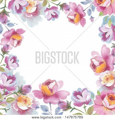 Wildflower rose flower frame in a watercolor style isolated. Full name of the herb: rose, Hulthemia, Rosa. Aquarelle flower could be used for background, texture, pattern, frame or border.