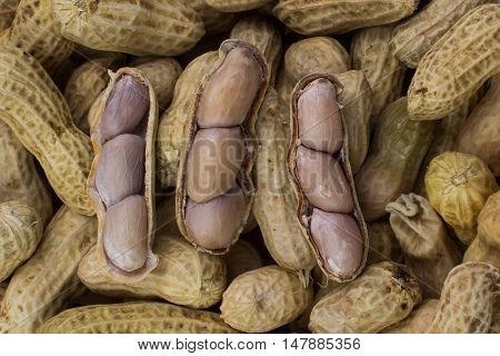 the classic texture of the beautiful peanuts