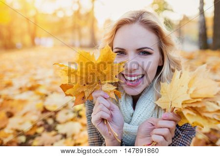 Beautiful young woman in checked coat and white knitted scarf in autumn park sitting on the ground, holdind yellow tree leaves in her hands