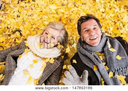 Active senior couple in autumn park lying on the ground covered with yellow leaves