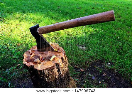 An axe with a wooden handle on a stubwith a background of sun-lit green grass