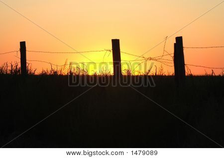 Barbwire slunce