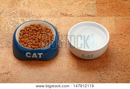 Dry Cat Food And Water In Bowl On Brown Floor