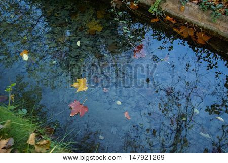 Autumn Landscape With Colorful Leaves, River And Reflections In Water