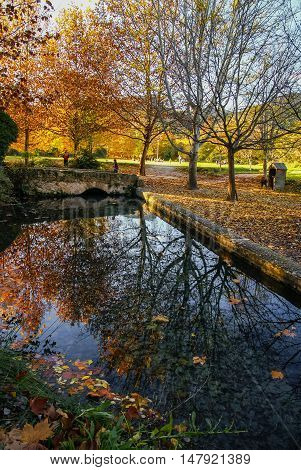 Autumn Landscape With Colorful Leaves, River And Reflections In Water