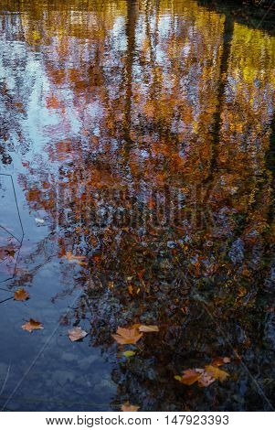 Autumn Landscape With Colorful Leaves, River And Reflections In Water