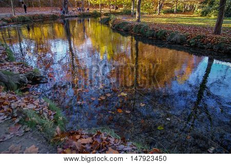 Autumn Landscape With Colorful Leaves, River And Reflections In Water