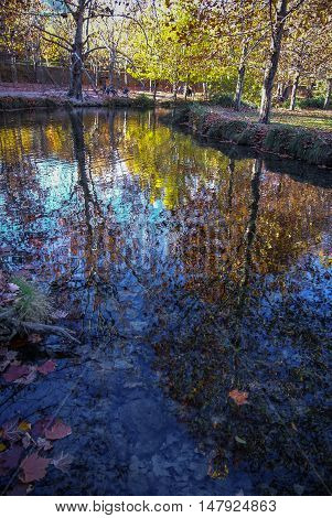 Autumn Landscape With Colorful Leaves, River And Reflections In Water