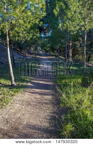 Autumn Landscape   In Caravaca De La Crus, Spain