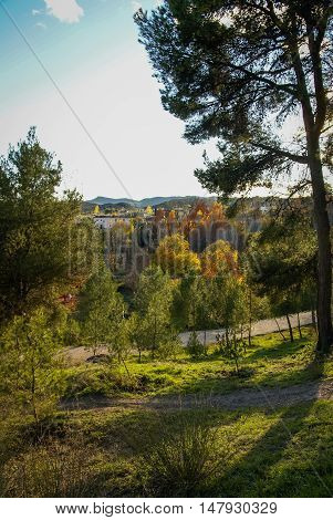 Autumn Landscape   In Caravaca De La Crus, Spain