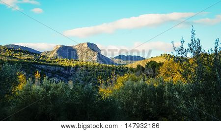 Autumn Landscape   In Caravaca De La Crus, Spain