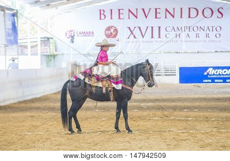 GUADALAJARA MEXICO - SEP 01 : Charra participates at the 23rd International Mariachi & Charros festival in Guadalajara Mexico on September 01 2016.