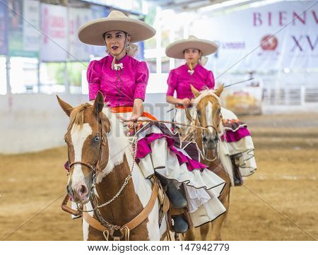 GUADALAJARA MEXICO - SEP 01 : Charras participate at the 23rd International Mariachi & Charros festival in Guadalajara Mexico on September 01 2016.