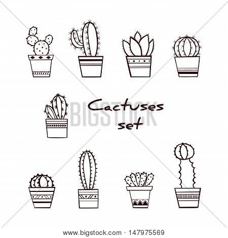 Set of Hand Drawn Cactuses and Succulents in Pots / Cactus Isolated on White Background