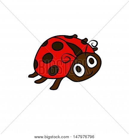 ladybug. One illustration picture of a ladybug drawn on the white backstage.
