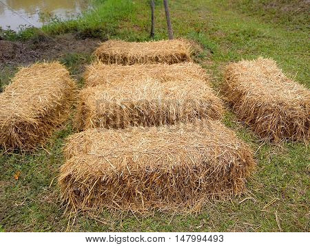 Chair of straw for background or Illustrate