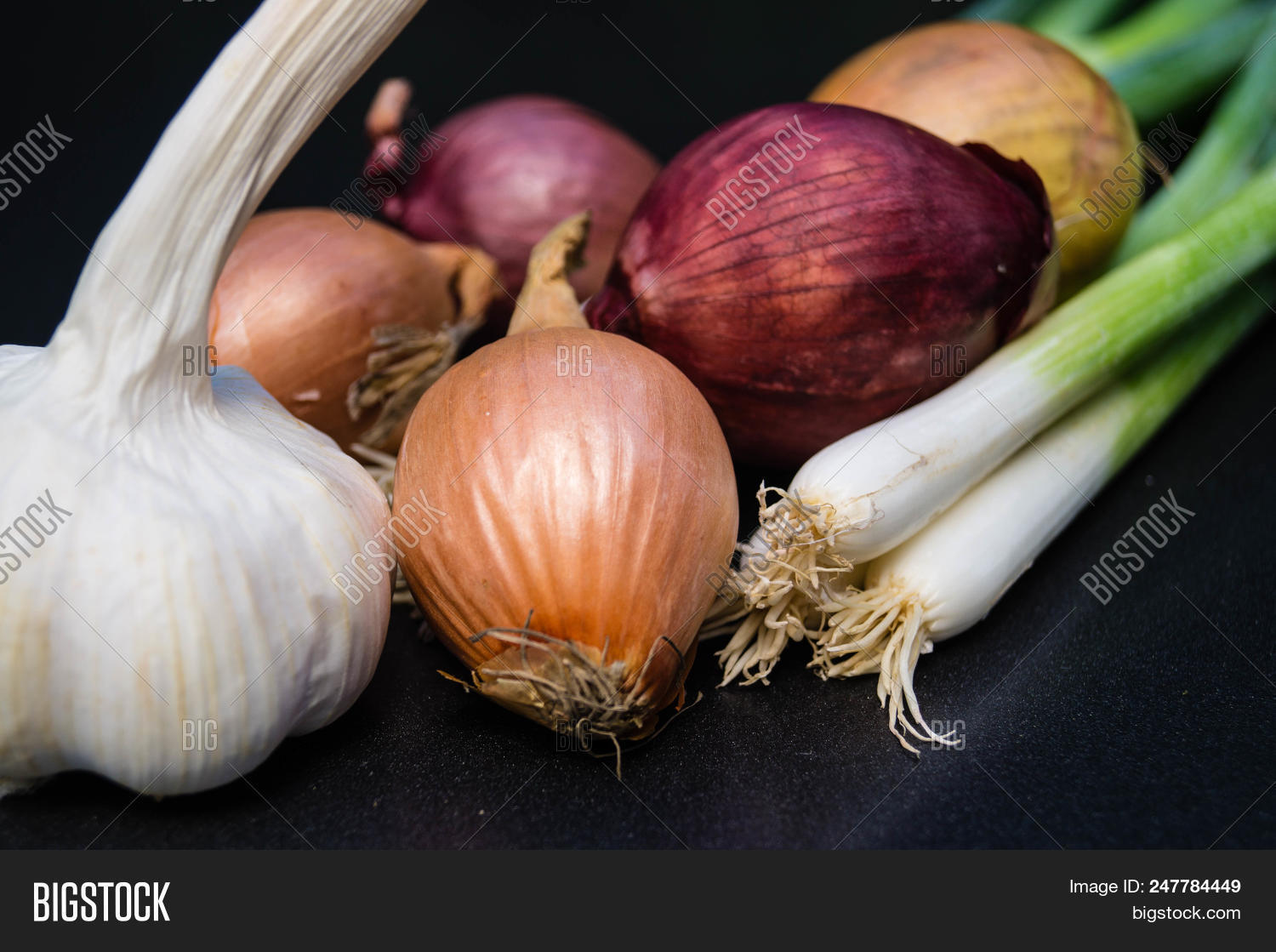 Garlic Leek Different Image & Photo (Free Trial) Bigstock