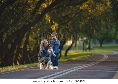 Concept Of Happy Young Mother With Adorable Kids And Dog Walking In Park