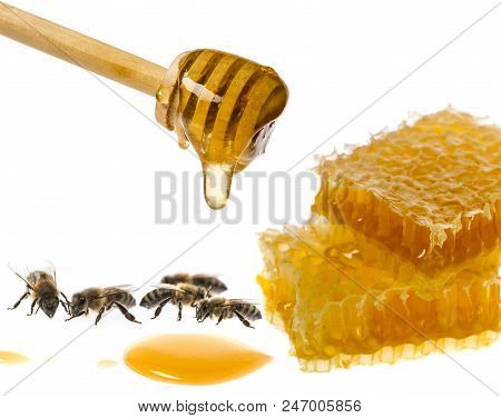 Honeycomb With Uncapping Fork - Honey Harvest