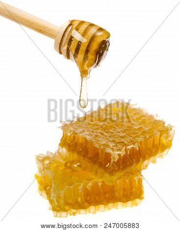 Honeycomb With Uncapping Fork - Honey Harvest